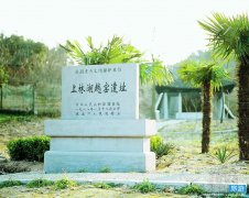 上林湖越窑遗址