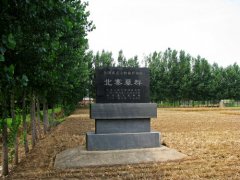 北寨墓群