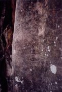 博什瓦黑石刻岩画