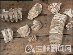 燕子岩剑齿象化石遗址