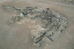 恐龙化石遗址