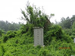 杨修墓