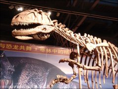 北碚恐龙化石遗址