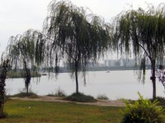 清凉江生态园