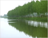 三岔河湿地