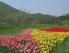 太湖生态花卉园