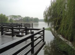 东舜湖公园