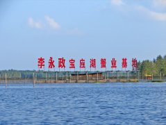 宝应湖