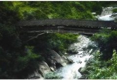 庆元古桥