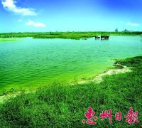 潼湖湿地自然保护区