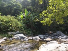 五指山热带雨林风景区