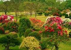 热带水果花卉植物观赏园