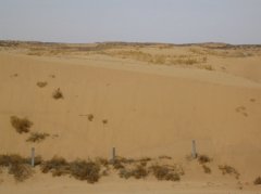 毛乌素沙漠