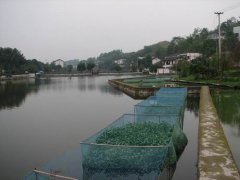 钓鱼湖现代生态水产养殖示范园区
