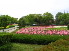 上海植物园