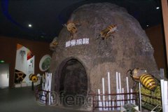 中国蜜蜂博物馆