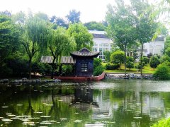 中国茶花文化园