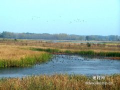 延庆鸟类湿地自然保护区